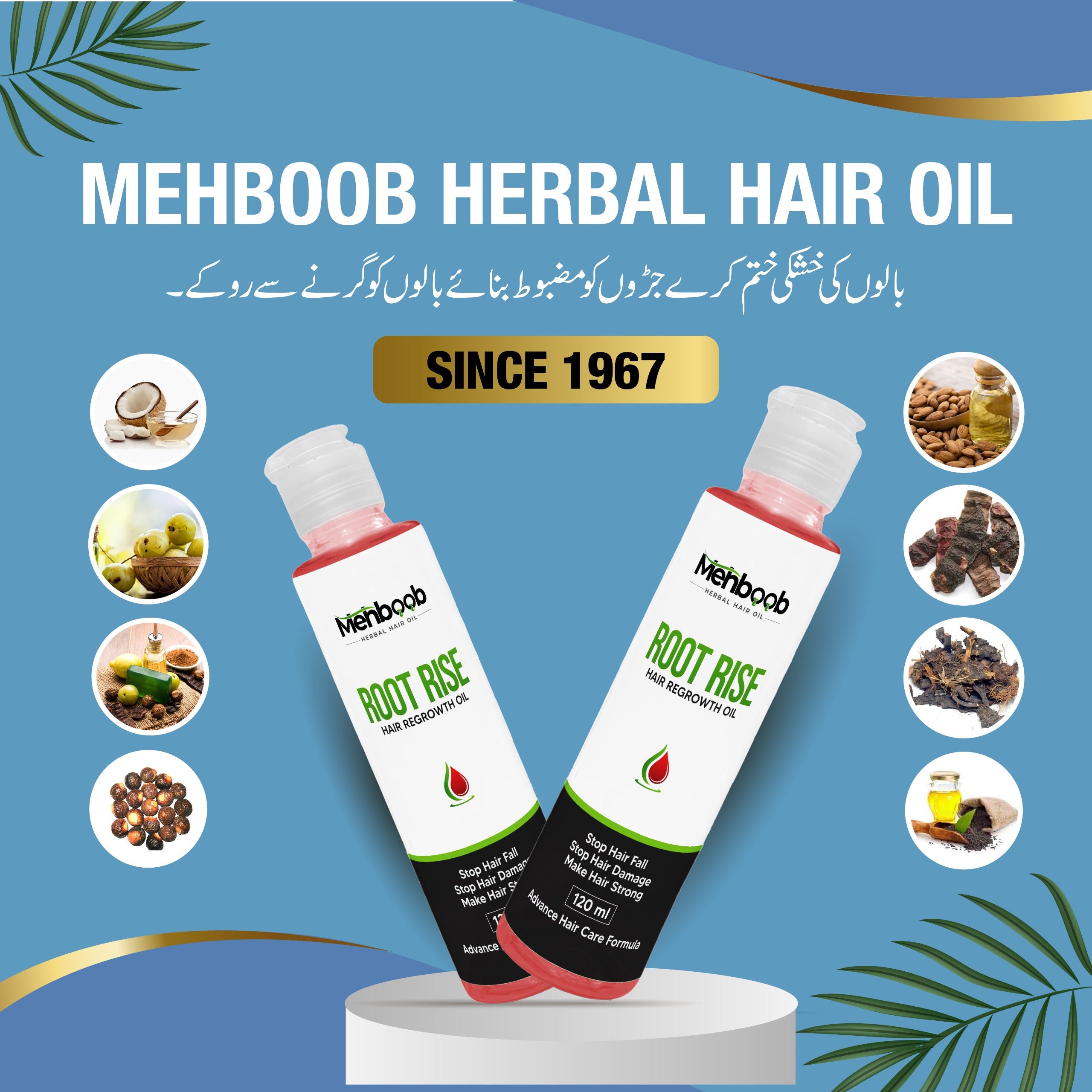 Root Rise Hair Herbal Oil